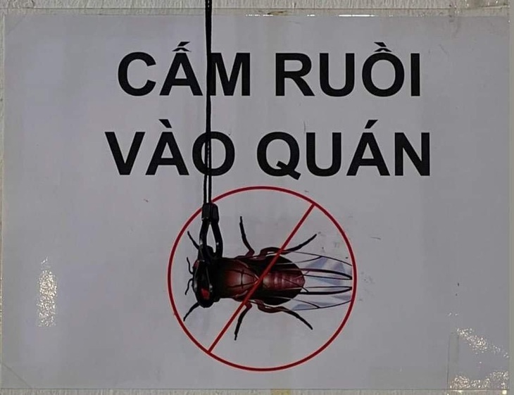 Thấy tội nghiệp ghê không?!