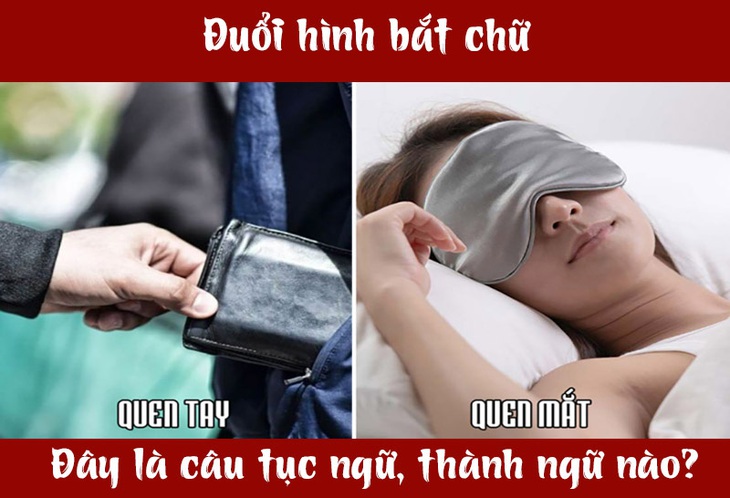 Câu tục ngữ, thành ngữ 'khó nhằn' này là gì? (P46)- Ảnh 3.