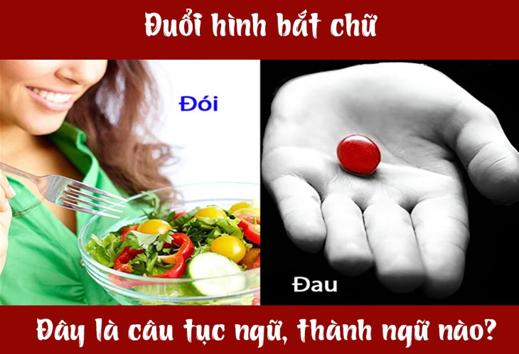 Câu tục ngữ, thành ngữ 'khó nhằn' này là gì? (P55)- Ảnh 1.