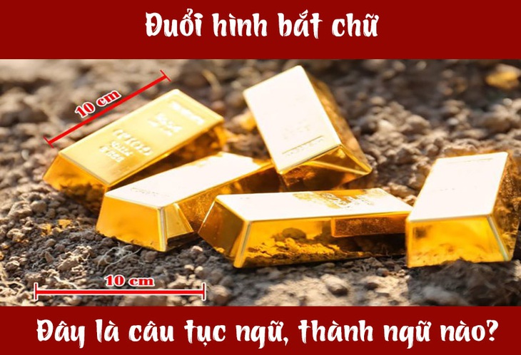 Câu tục ngữ, thành ngữ 'khó nhằn' này là gì? (P53)- Ảnh 3.