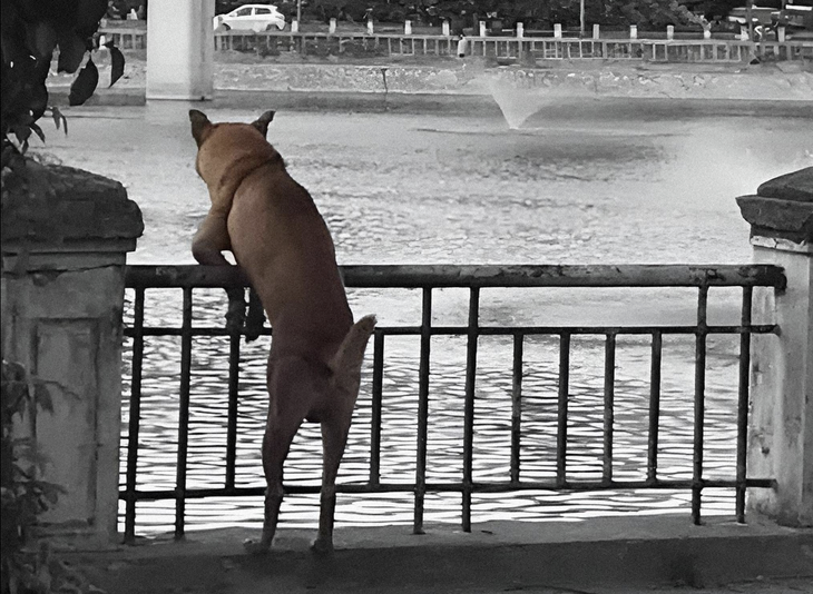 Sống vui thôi chứ chắc gì kiếp sau đã làm người... 