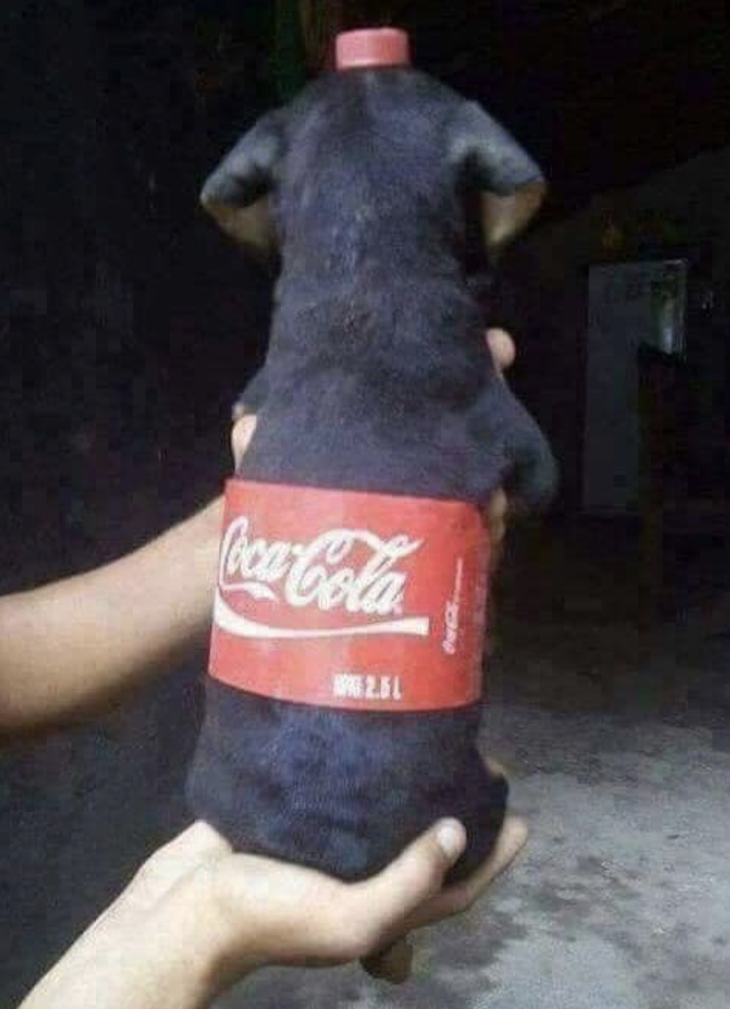 Bình nước ngọt biết kêu "gâu gâu". 