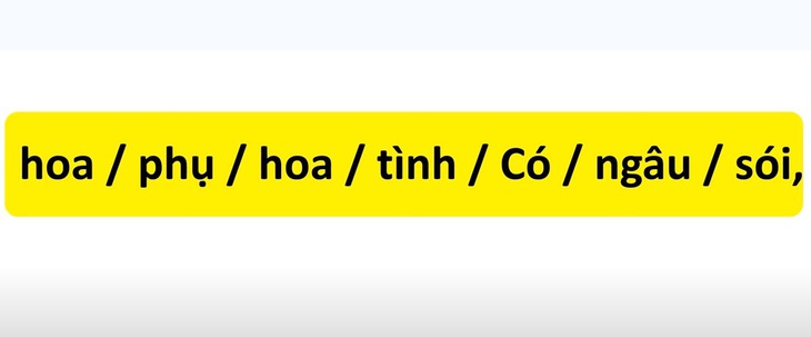 Thử tài tiếng Việt: Sắp xếp các từ sau thành câu có nghĩa (P12)- Ảnh 3.