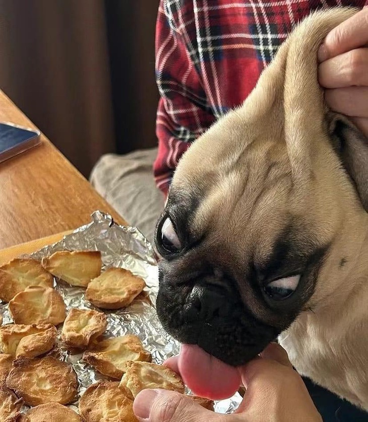 Cho tao ăn miếng đi sen...