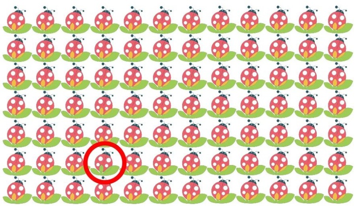 Mắt 10/10 có thấy khuôn mặt bà lão?- Ảnh 4.