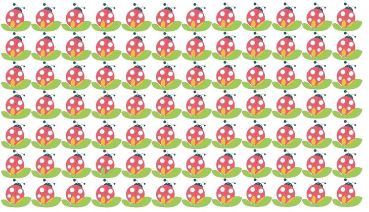 Mắt 10/10 có thấy khuôn mặt bà lão?- Ảnh 3.