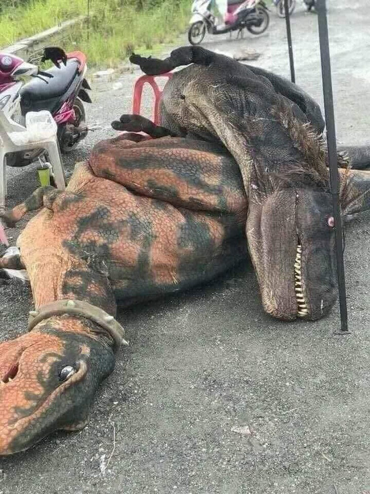 100.000 đồng-/kg thịt khủng long. Mại dzô!!! 