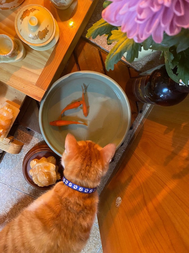 Bên trái hay bên phải ta? 