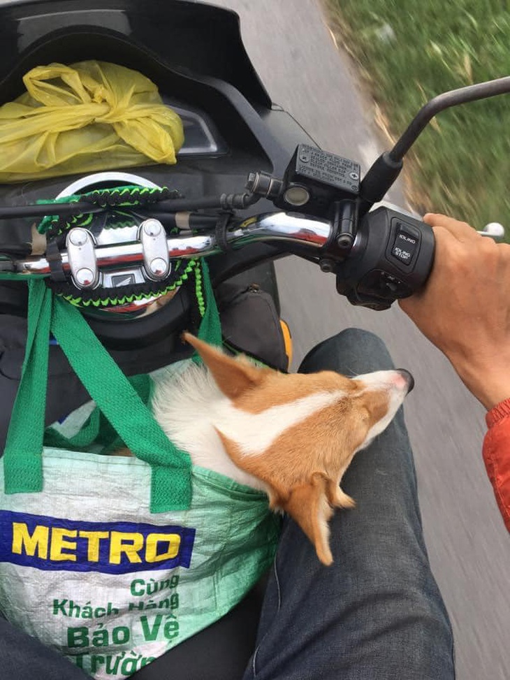 Về nhà ăn Tết. 