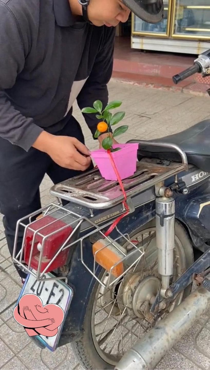 Cây quất phù hợp với tiền thưởng Tết của nhiều người.