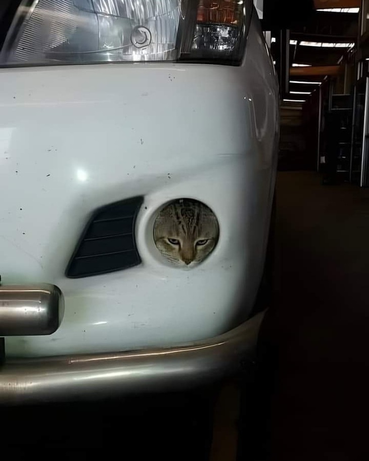 Nhà có cái đèn pha mới quá.