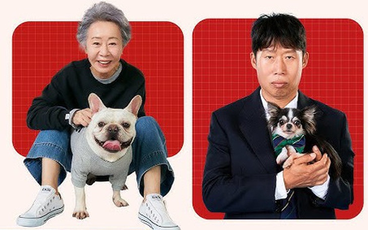 Lee Je Hoon, Jo Jung Suk, Uhm Tae Goo là sao Hàn nổi tiếng nhất tháng 8- Ảnh 8.