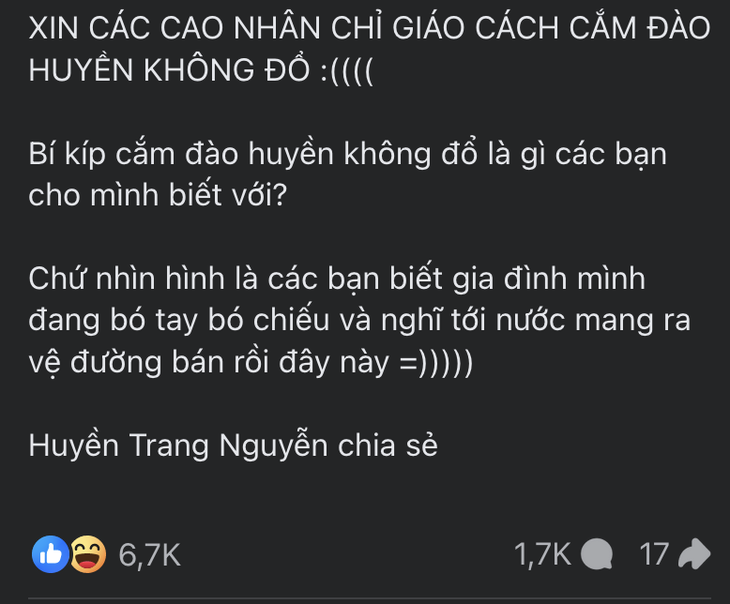 'Kiếp nạn thứ 82' trước Tết Nguyên đán gọi tên đào huyền- Ảnh 2.
