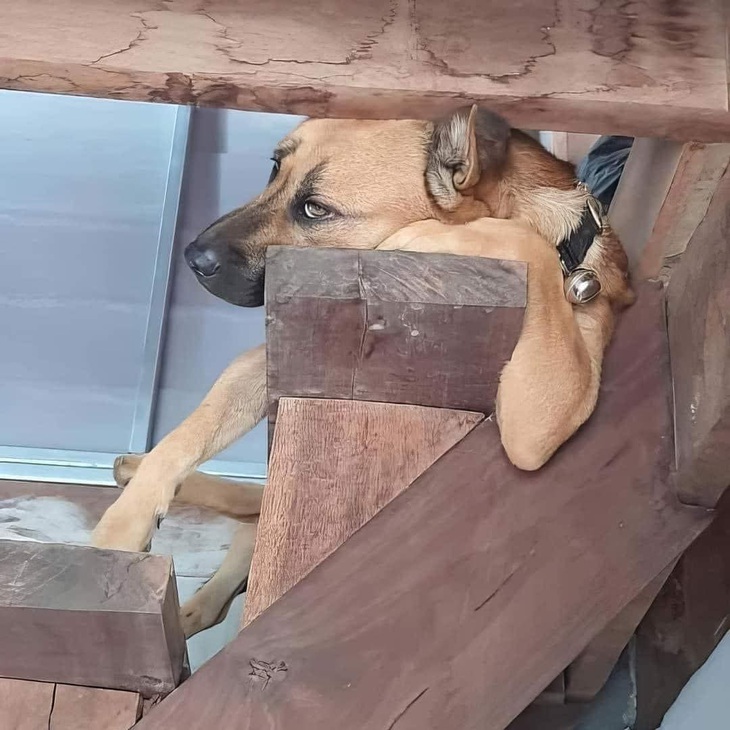 27 Tết rồi đó cả nhà, mà vẫn chưa mua được cái áo nào! 