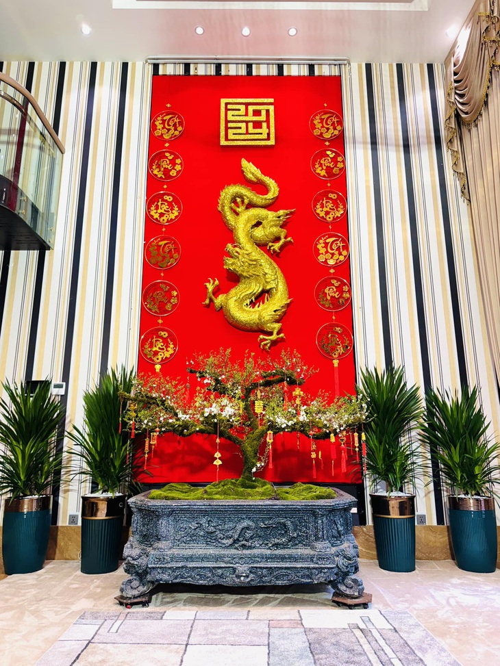 Cây mai quý hiếm được Đàm Vĩnh Hưng vận chuyển từ Tây Bắc về và đặt ở vị trí trung tâm trong căn nhà.