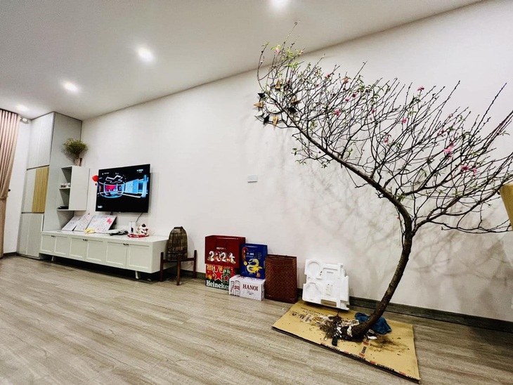 Cành đào huyền khiến không ít 