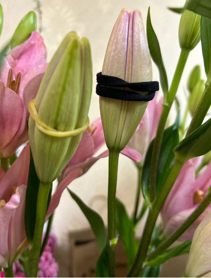 Cột nhẹ nhẹ kẻo em nó "đau". 