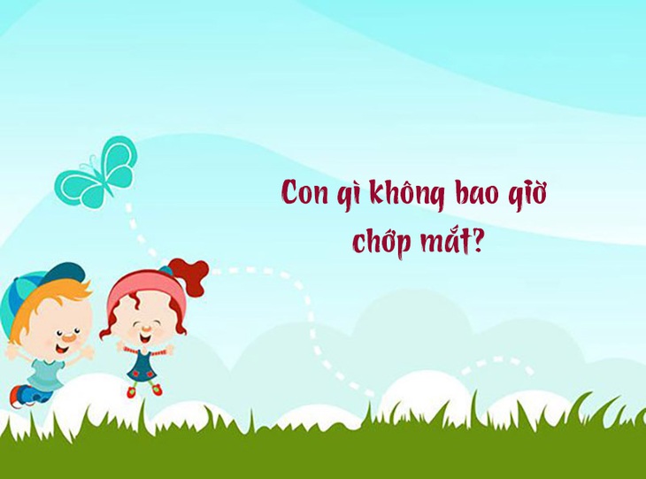 Câu đố hack não: Con gì không bao giờ chớp mắt?- Ảnh 1.