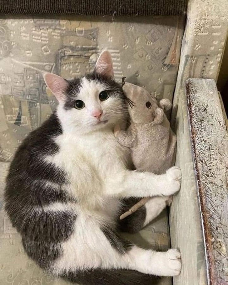 Mãi bên nhau bạn nhé. 