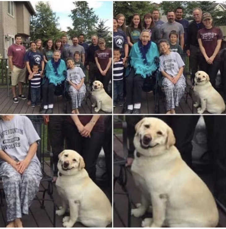 Tự dưng thấy mình đẹp nhất tấm hình. 