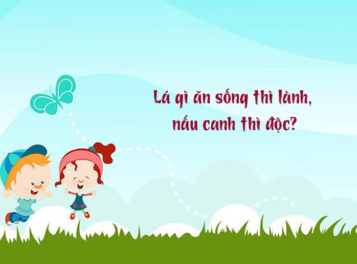 Câu đố hack não: Lá gì ăn sống thì lành, nấu canh thì độc?- Ảnh 1.