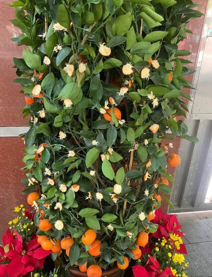 Tết nhà bạn xong chưa? Tết nhà tôi... hết rồi! 