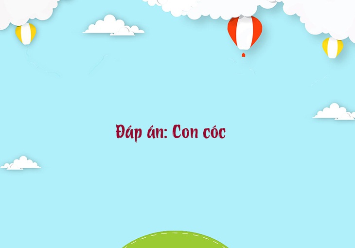 Câu đố hack não: Vừa chim vừa thú là con gì?- Ảnh 4.