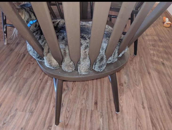 Mỡ tràn... "bờ đê".