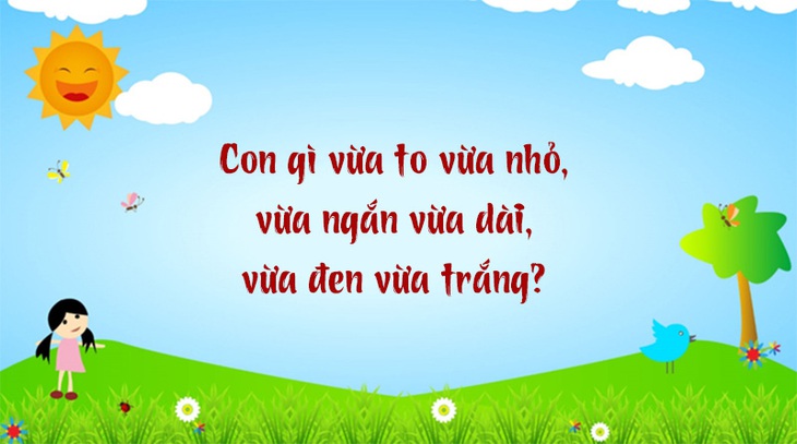 Câu đố hack não: Càng bóp càng cứng là cái gì?- Ảnh 3.