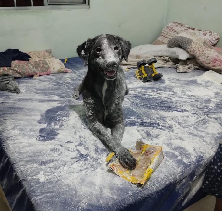 Em không biết gì thiệt á!