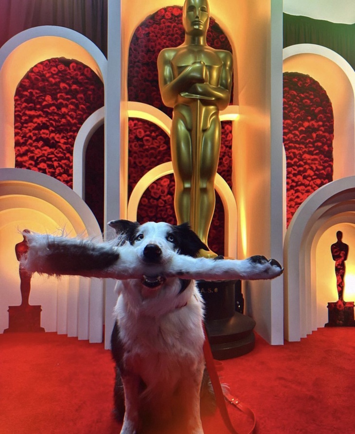 "Creepy" thực sự.