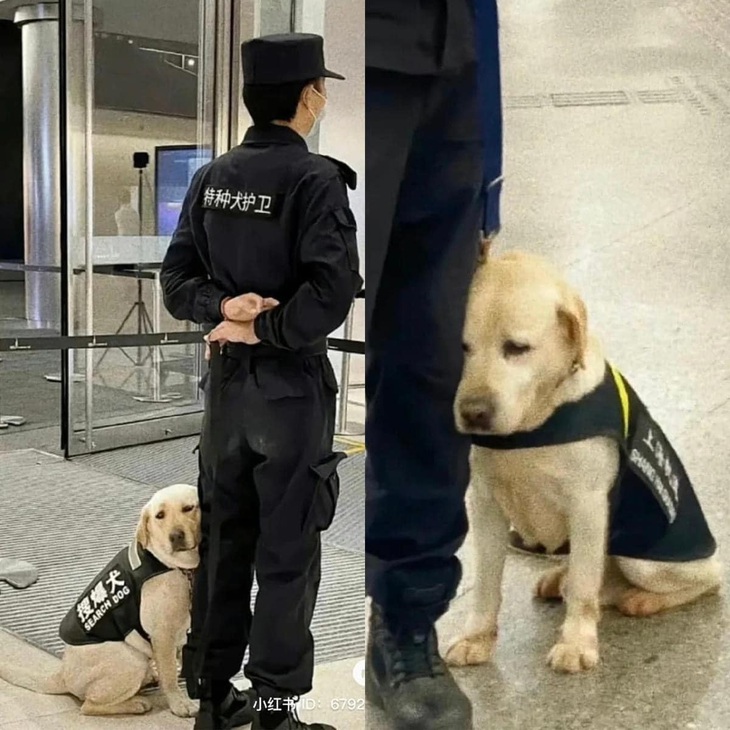 Em không muốn đi làm, chỉ muốn đi bên anh thôi...