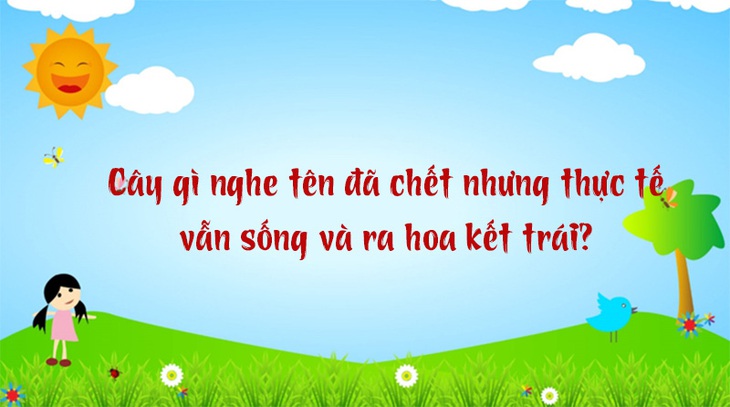 Câu đố hack não: Vì sao vợ được gọi là 'nóc nhà'?- Ảnh 5.