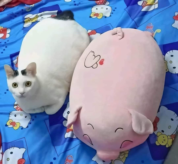 Cũng sắp "tới bến" rồi đó.