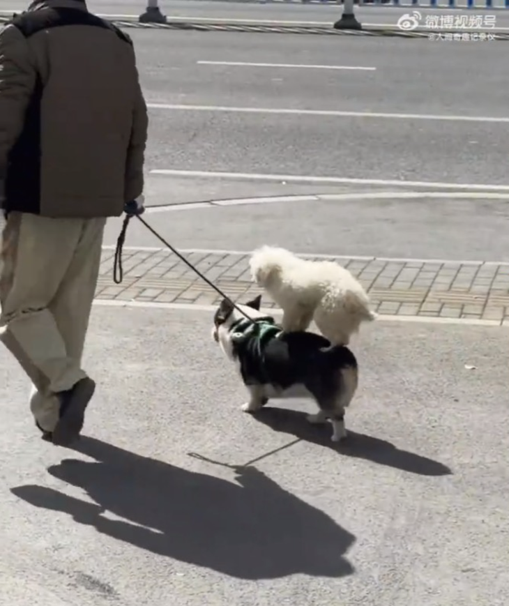 Cho quá giang một đoạn đường bạn ơi. 