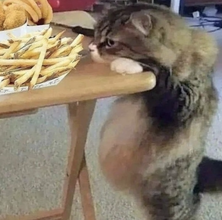 Em hứa chỉ ngửi, chứ em không ăn. 