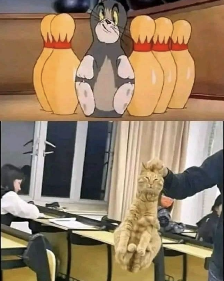 Phiên bản phim hoạt hình và đời thực. 