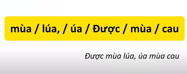 Thử tài tiếng Việt: Sắp xếp các từ sau thành câu có nghĩa (P40)- Ảnh 4.