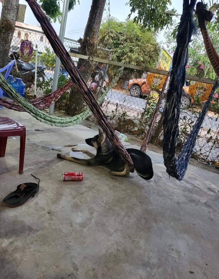 Chịu nổi không?!