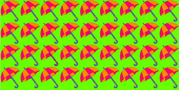 Mắt 10/10 có thấy con chim trong hình?- Ảnh 3.