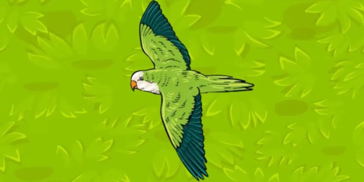 Mắt 10/10 có thấy con chim trong hình?- Ảnh 2.