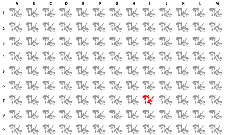 Thử tài tinh mắt: Con cá ẩn giấu ở đâu?- Ảnh 4.