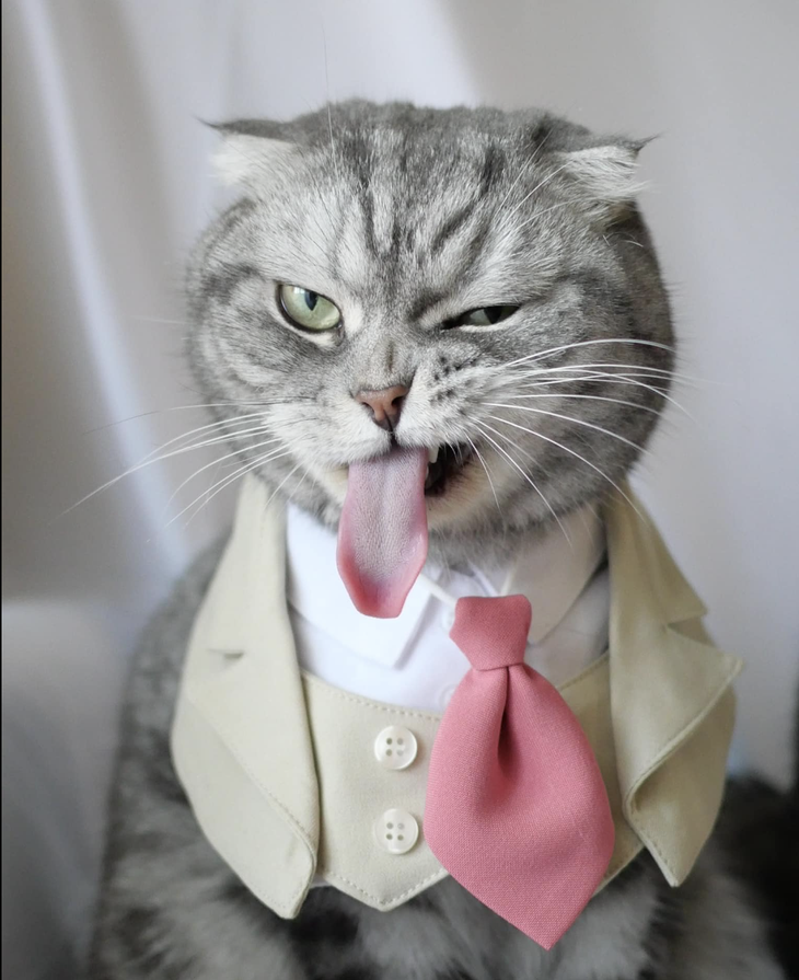 Gia trưởng mới lo được cho em. 