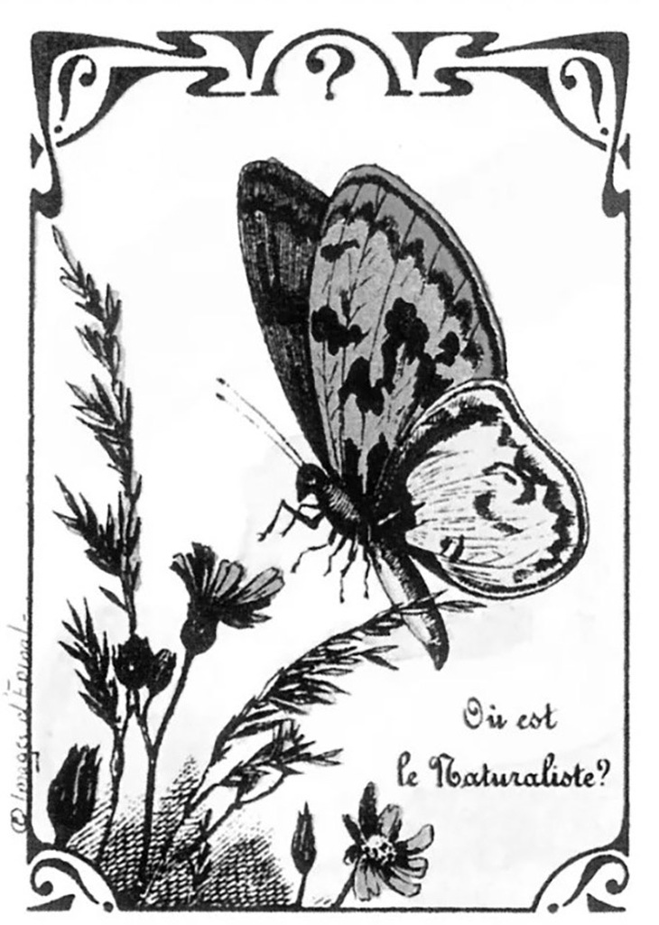 Thử tài tinh mắt: Người đàn ông ẩn giấu ở đâu?- Ảnh 1.