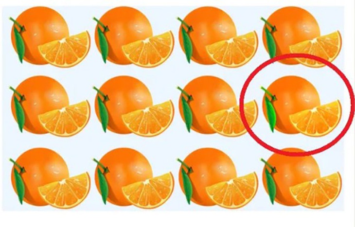 Thử tài tinh mắt: Người đàn ông ẩn giấu ở đâu?- Ảnh 4.