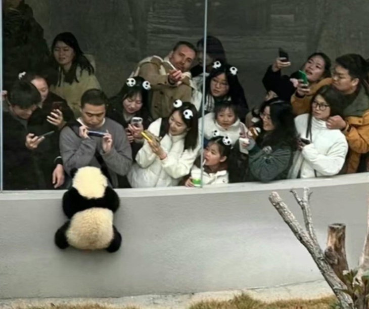 Nè, em nè! Chụp đi mọi người ơi...