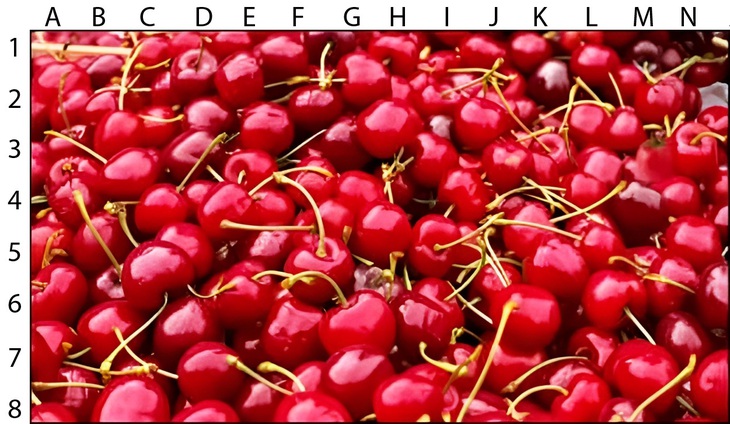 Mắt 10/10 có thấy cây kim ở đâu?- Ảnh 3.