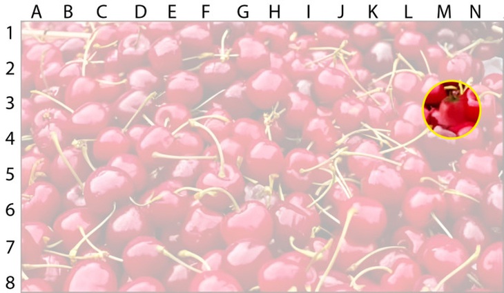 Mắt 10/10 có thấy cây kim ở đâu?- Ảnh 4.