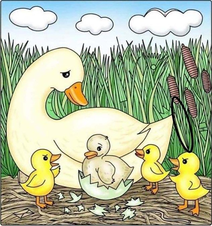 Mắt 10/10 có thấy cây kim ở đâu?- Ảnh 2.