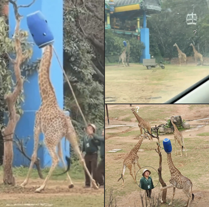 Đây là đâu, tôi đang làm gì? 